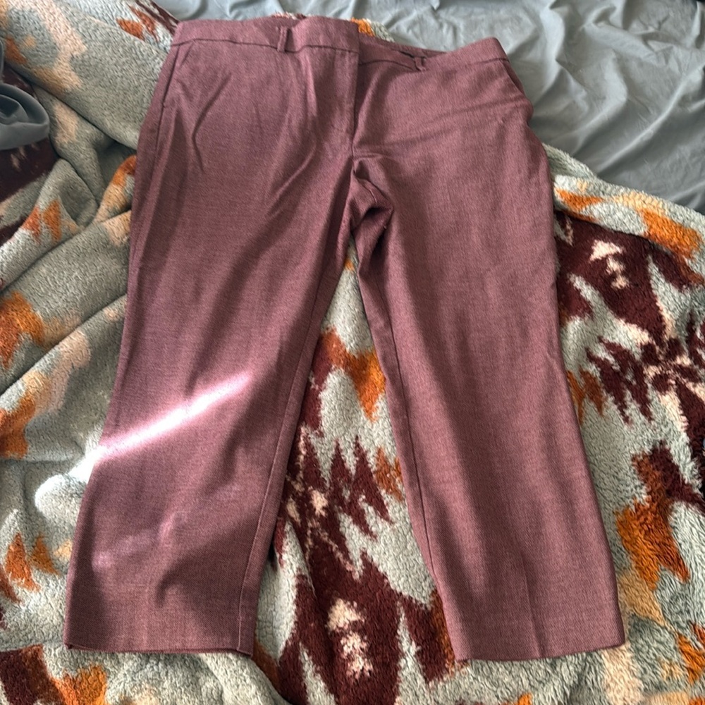 Gently used burgundy Loft Petites Marisa pant in size 18P